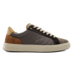 Zapatillas Ambitious Anopolis
