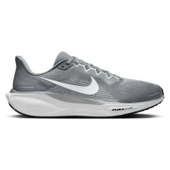 Zapatillas Nike Pegasus 41