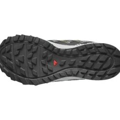Zapatillas Salomon SHOES WANDER GTX QuSh LunRoc Sun Lm