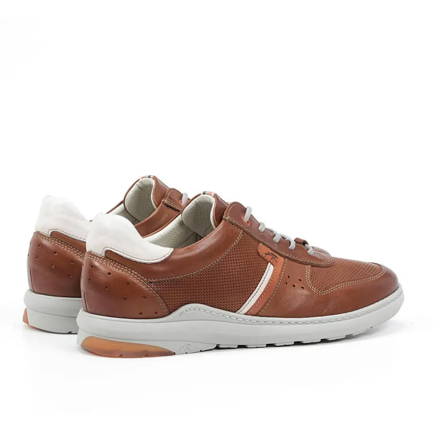 Zapatos Fluchos F1162
