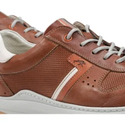 Zapatos Fluchos F1162