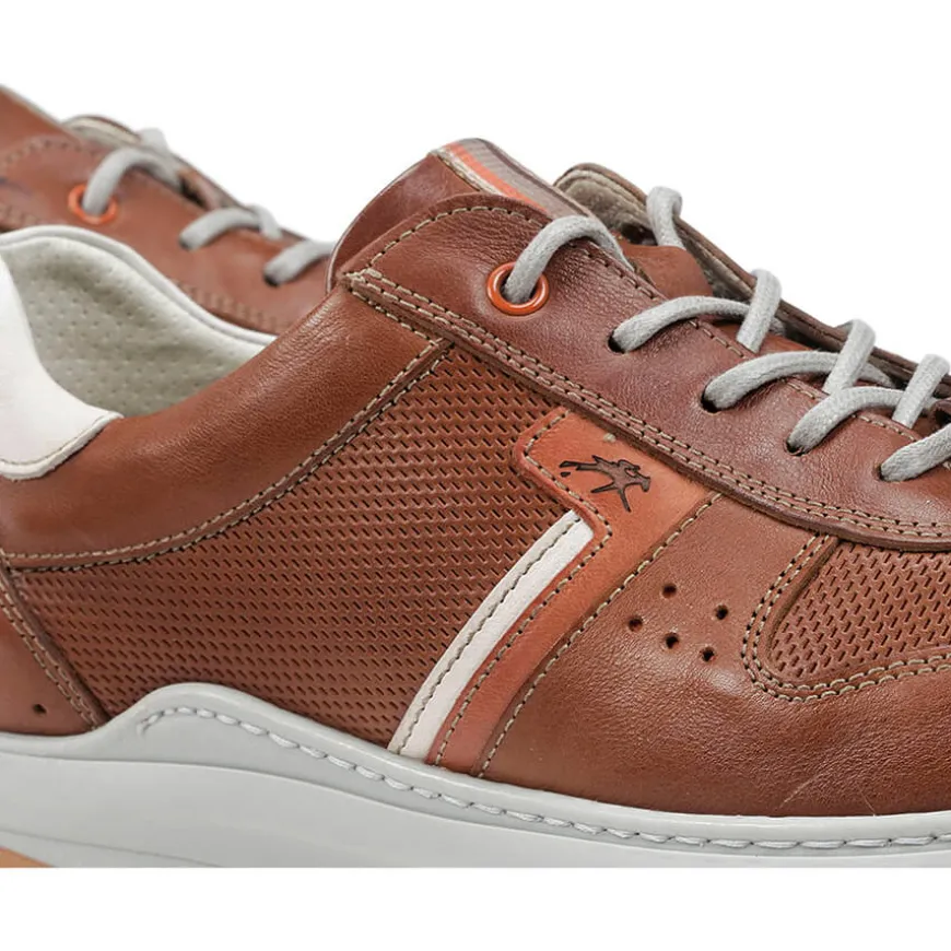 Zapatos Fluchos F1162
