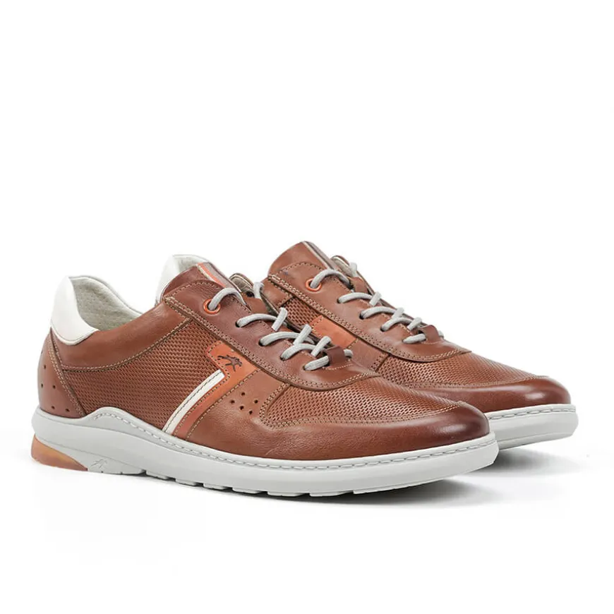 Zapatos Fluchos F1162