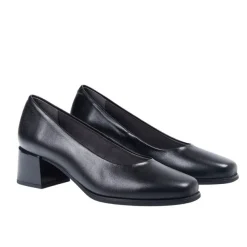 Zapatos Pitillos 103